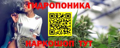 гидра Кинель