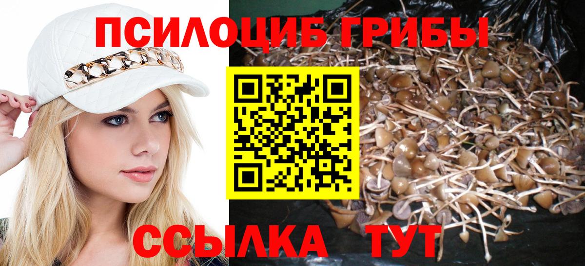 Псилоцибиновые грибы Cubensis Коряжма