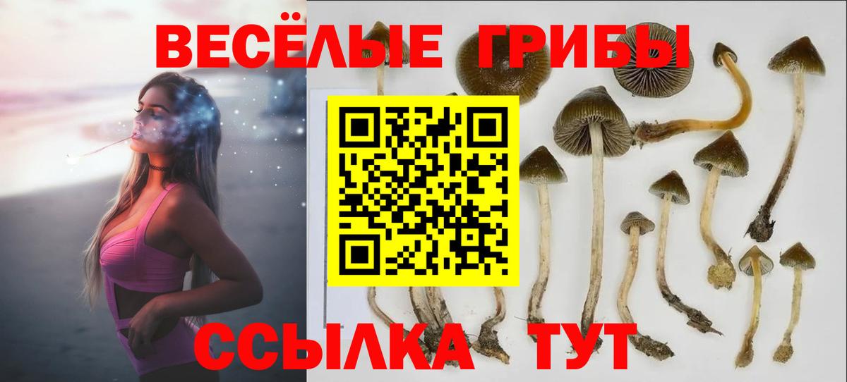 Псилоцибиновые грибы мицелий  Псилоцибиновые грибы мухоморы  Коряжма  Вход с VPN 